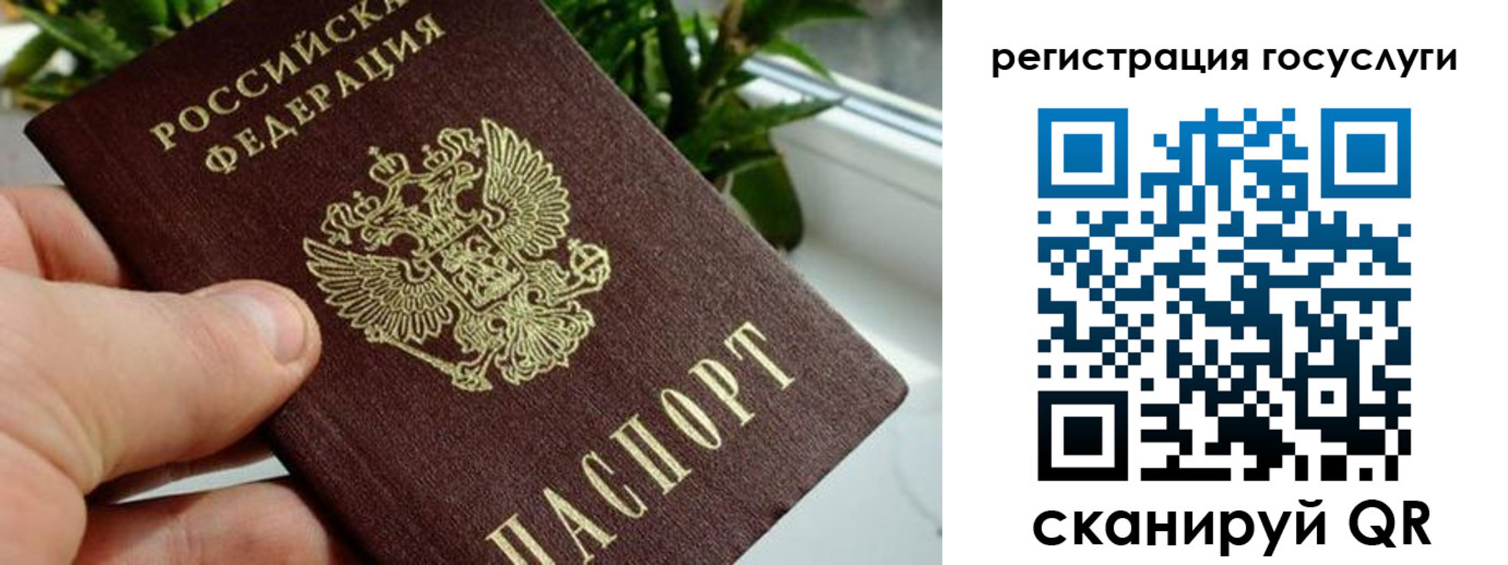 прописка для кредита в Партизанске